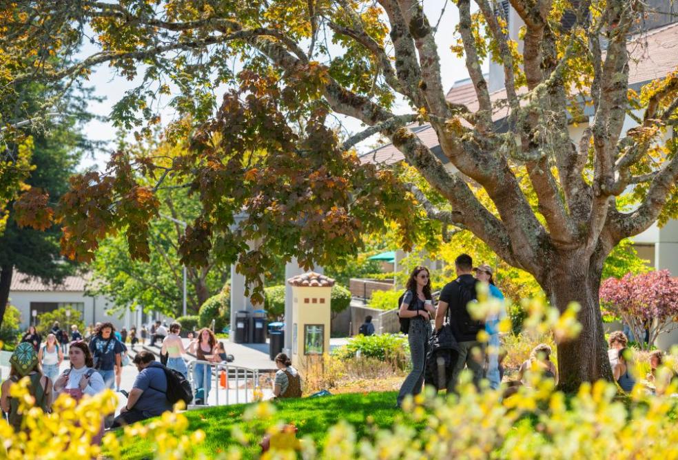 students at the library